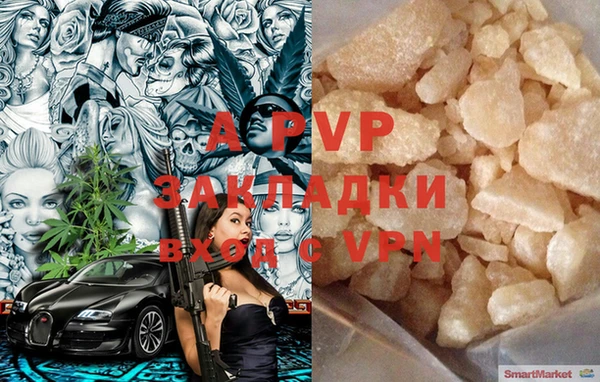 индика Алзамай