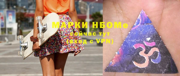 индика Алзамай