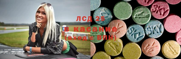 индика Алзамай
