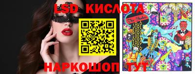 СК Сланцы
