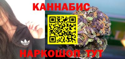 СК Сланцы
