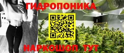 дмт Славянск-на-Кубани