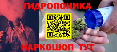 СК Сланцы